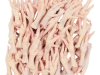 Premium Grade A Frozen Chicken Feet