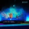 Water Screen Projection System for Outdoor Events