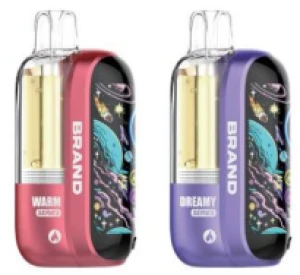 Disposable Pod Vape with Power Bank Z23
