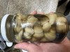Canned Peeled Straw Mushroom