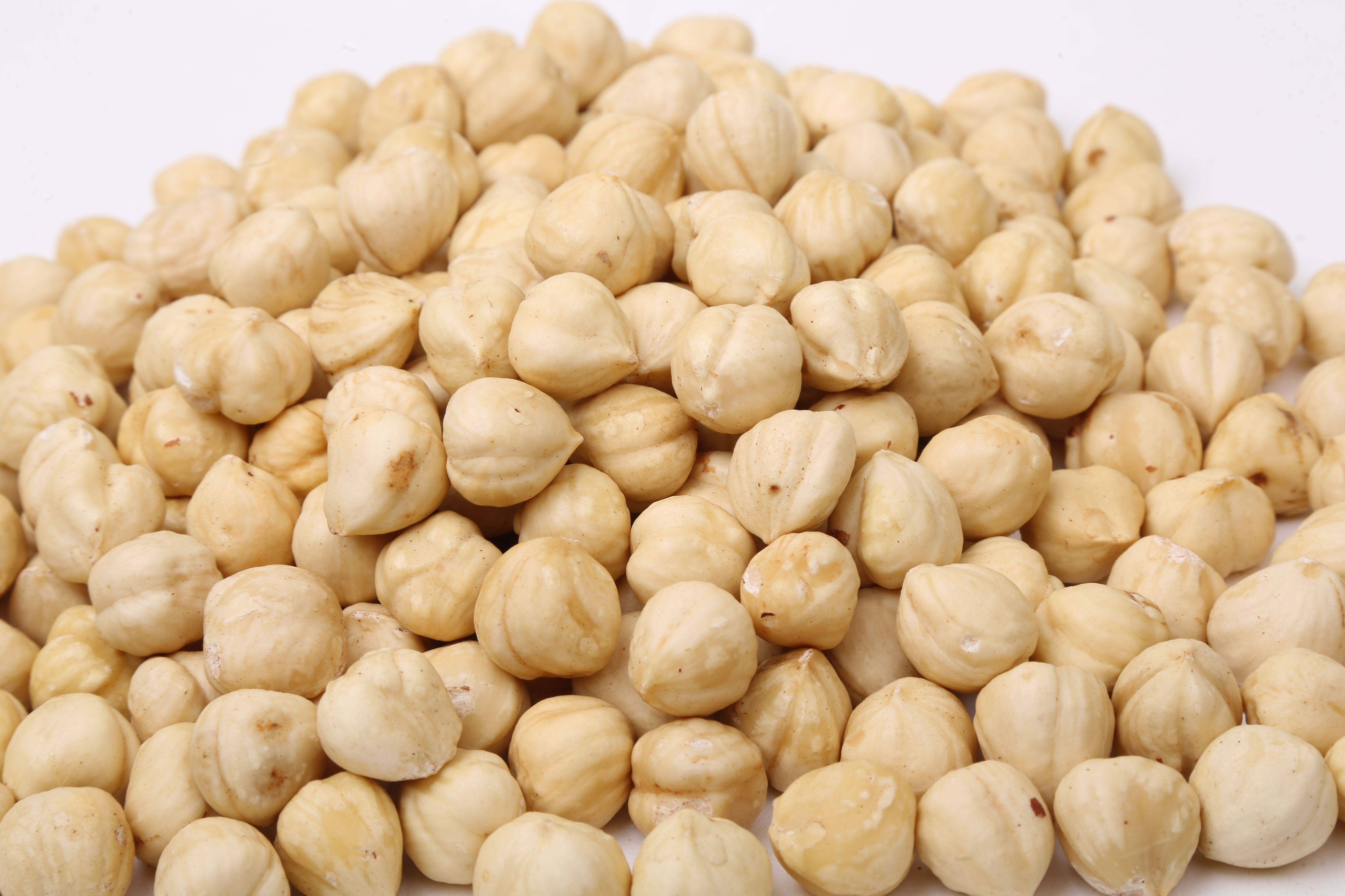 Buy Hazelnut from Aysan hazelnut, Republic of Türkiye | Tradewheel.com
