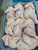 Halal Frozen Whole Chicken & Parts