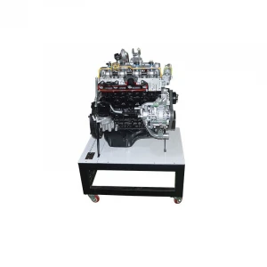 Dissection Model of Diesel Engine