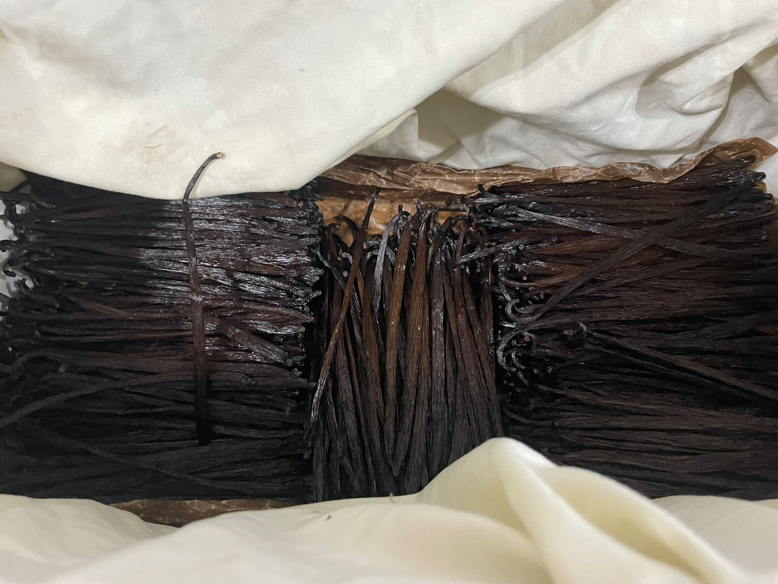 Buy Mexican Vanilla Beans Planifolia from Mission J.A.D.E., USA
