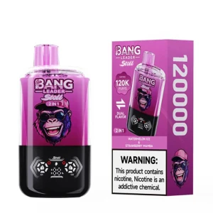 Bang Leader 120K Wholesale Europe | Dual Chamber Vape Device | Premium B2B Closed Pod Supply Chain