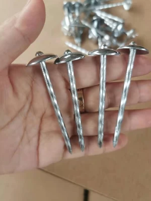 galvanized twisted roofing nails/cap nails
