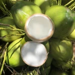 Whole Polished Coconut