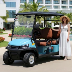 4 Seater Classic Electric Golf Cart 48V Lithium Battery 4KW AC motor