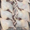 Duck legs and whole duck