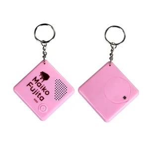 talking kychain music keychain recordable message  voice record keyring