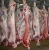 Import 100% Halal Fresh/Frozen Sheep/Goat/Lamb Meat/Carcass... from South Africa