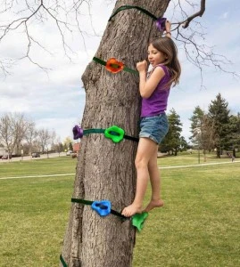 12 Climbing Rocks with 6 Ratchet and Straps Climbing, Rock Climbing Holds for Trees, Ninja Warrior Obstacle Course