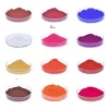 12 Colors Wholesale Bottle Mica Powder Lipgloss Pigment for DIY Lip Gloss Base Handmade Epoxy Resin Paint Slime