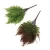Import 2 colors small bush artificial decoration palm leaf beam wholesale artificial leaf bush from China
