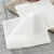 2-ply Entertain Paper Napkins Dinner Size Classic White or printed Napkins