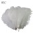 Import 2018  best price  all size  top quality  white ostrich feather from China