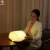 Import 2018  LED light with wooden cover, portable fashion book reading light from China