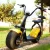 Import 2018 popular style electric scooter with big wheels fashion city scooter citycoco from China