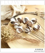2020 2020 Hot sale Natural Cotton Boll Stalk Single Stem  bulk Natural cotton branch natural dried flowers for home decor