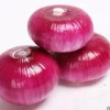 2020 natural fresh non peeled red onion export quality