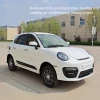 24 Adult New Energy Low-speed Electric Vehicle 3500W Fully Enclosed Four-wheel Electric Car Oil-Electric Two-purpose for Elderly