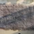 24&quot;x48&quot; soft and luxurious Mongolian lamb fur skin hide plate blankets with shaggy hairs for home decoration use