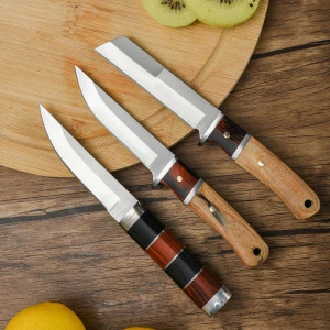 2.5 stainless steel full tang wood handle fruit knives kitchen slicing peeling utility small paring knives with Oxford bag
