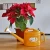 Import 2.5L household product plastic watering can,plastic garden product water can,watering pot from China