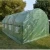 Import 3 x 2 x 2.13M Larger Garden Plant Walk In Tunnel Green House from China