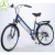 Import 36V 250W Folding Electric City Bike Road Bicycle Pedal AssistNew Model from China