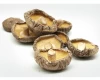 4-5cm China dried half foot cut shitake mushroom  high quality shiitake  wholesale price organic mushroom