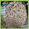60cm Bamboo Raw Materials for Farm Garden Agriculture