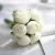 Import 7 Heads Cheap Peony Handmade Small Decorative Fake Artificial Flowers from China