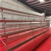 A type battery cage with feeding equipment hot broiler chicken farm