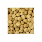 Abalone Coated Roasted Macadamia Nuts Made in Australia for Export