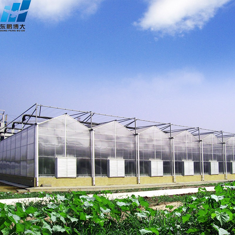agricultural greenhouse frame