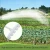Import Agriculture atomizer nozzles irrigation sprinklers from China