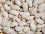 Agriculture Butter Bean
