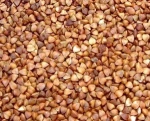 agro food company wholesale best quality roasted buckwheat kernel