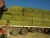 Import Alfalfa Hay , High quality , fresh crop from Egypt