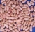 Import all kinds of kidney beans from China