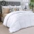 Import All Season Goose Down Alternative Quilted Comforter Set Queen Size from China