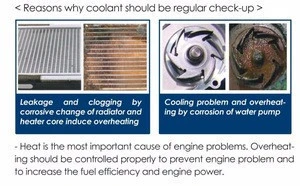 All vehicles Antifreeze Radiator Coolant Additive
