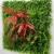 Import Approved nature high quality artificial plant wall/outdoor green plants vertical garden wall design from China