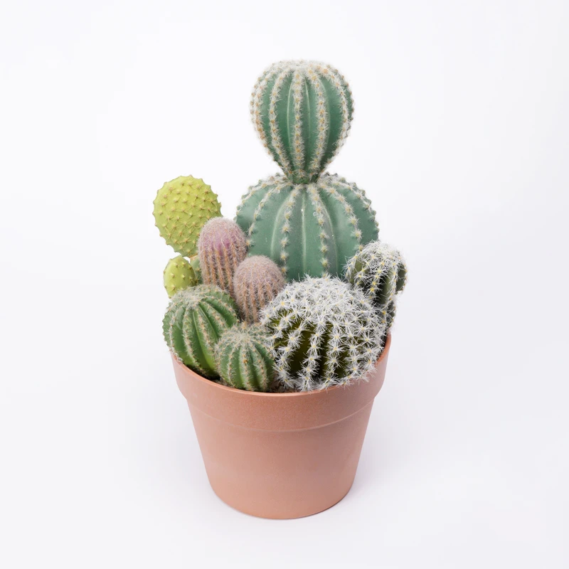 Artificial Cactus Natural Looking Fake Plastic Plant Bonsai 21*20.5*34cm Faux Cactus in pp pot