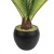 Import Artificial Palm Tree Artificial Bonsai Cycas Revoluta Tree For Decoration from Pakistan