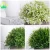 Import Artificial Round Grass Plants Set of 3 With Grey Pot, 9.5*13cm Small Indoor and Outdoor Fake Plants, Plastic Plants for House from China