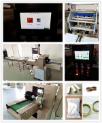 Autom Stick Noodles Packaging Machine Pitaya Packing Machine