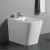 Import B1010 Western style small cheap ceramic wc women wash bidet for home hotel from China