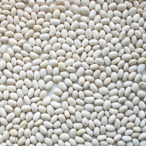 Baishake Natural Plant Pure White Kidney Bean
